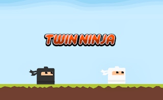 Twin Ninja